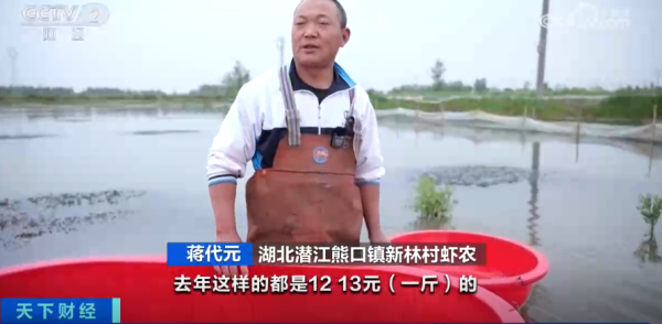 保利配资 太火爆！你爱吃的它，抢“鲜”上市了！有人日入2万元→