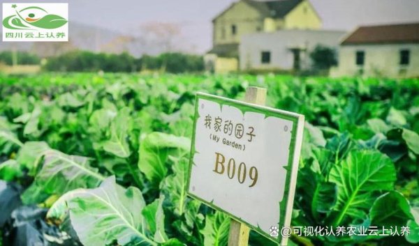 创牛配资 认养农场主如何盈利？认养农业营销方案分享！