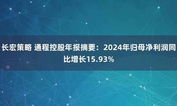 长宏策略 通程控股年报摘要：2024年归母净利润同比增长15.93%