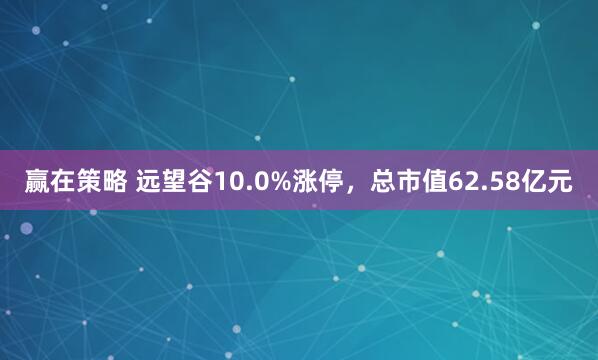 赢在策略 远望谷10.0%涨停，总市值62.58亿元