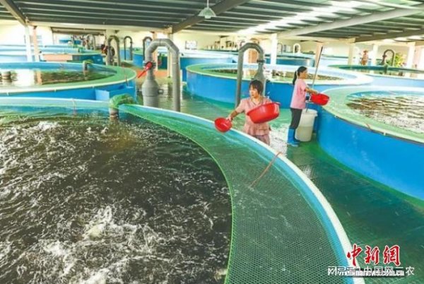 盛盈优配 河源紫金县蓝塘镇：现代渔业铺就乡村致富路