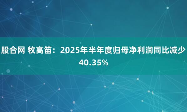 股合网 牧高笛：2025年半年度归母净利润同比减少40.35%