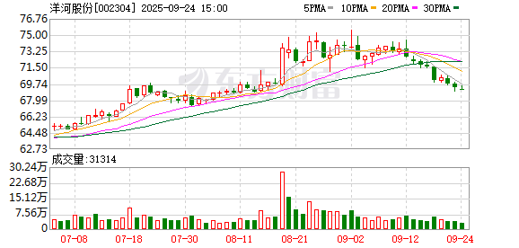 策略大赢家 洋河股份2024年年报：积极调整，蓄势未来