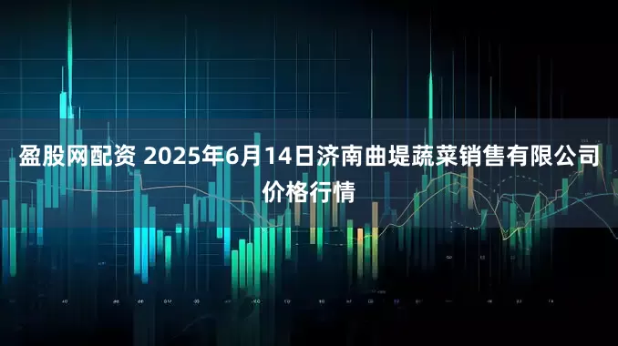 盈股网配资 2025年6月14日济南曲堤蔬菜销售有限公司价格行情